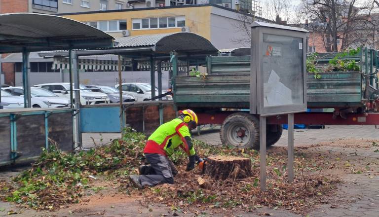 FOTO in VIDEO: Dotrajane stojnice na mestni tržnici odstranjen, odstranili tudi drevo 