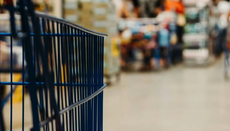 Po zgledu Avstrije: Bo nižji DDV tudi pri nas res pocenil hrano? 