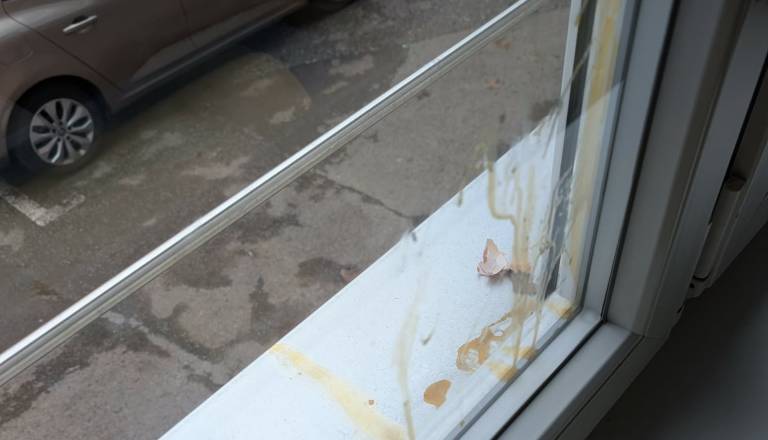 Nemir na Fabianijevi ulici: Dojenčica se ustrašila po udarcu jajca v okno