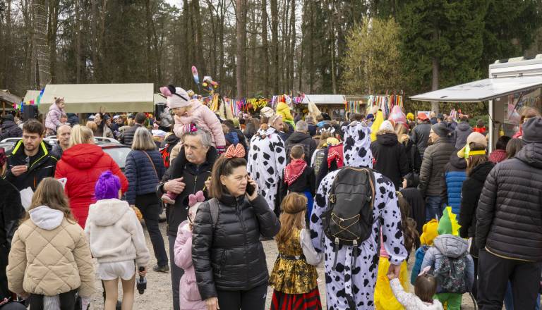 FOTO: Pohorsko tržnico v Pivoli zavzelo pustno rajanje