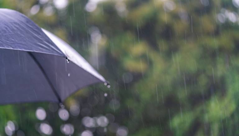 Popoldne in ponoči bo ponekod deževalo