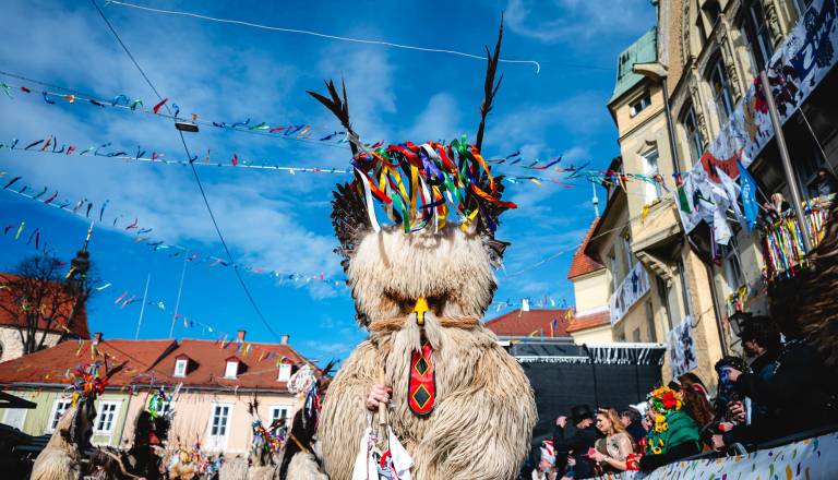 FOTO in VIDEO: Mednarodna karnevalska povorka na Ptuju znova ni razočarala