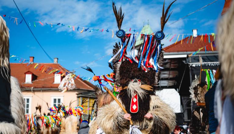 FOTO in VIDEO: Največja pustna povorka v Sloveniji znova navdušila