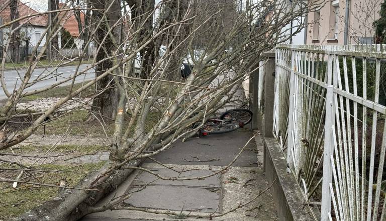 Poglejte, kakšno razdejanje je močan veter povzročil na Madžarskem