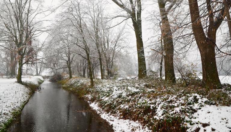 Po jasnem jutru preobrat, sneg vse do nižin 