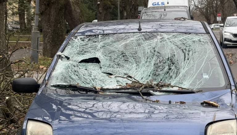 Močan veter podiral drevesa