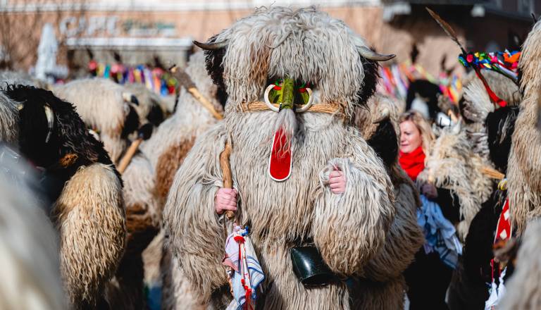 Ne boste verjeli! Največ Kurentov ne živi na Ptuju, ampak ... 