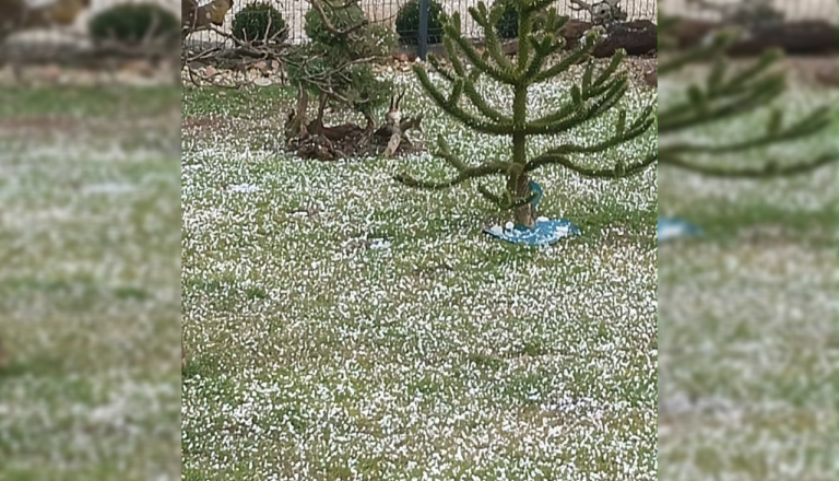 Sredi februarja grmenje in manjša toča na Goričkem