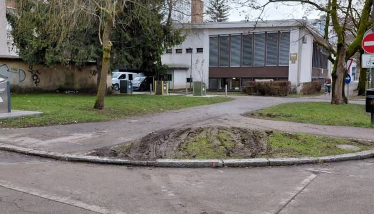 Zelenice na Prulah popolnoma uničene: Občani bi količke, župan bi raje nadzor