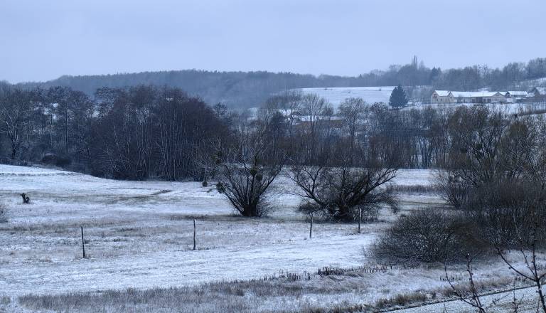 Zima še kaže zobe: Dež in sneg pred vrati, nato občutna otoplitev v Murski Soboti