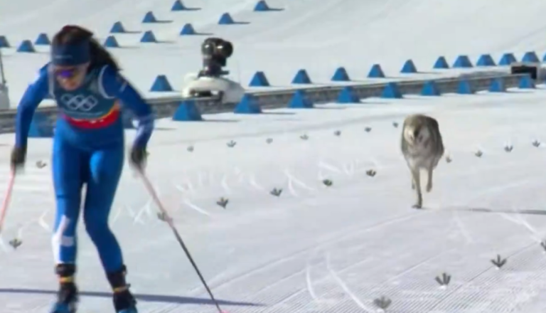 VIDEO: Kosmati vsiljivec presenetil tekmovalke na olimpijskih igrah