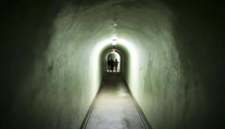 Po največjih kočevskih znamenitostih: od bunkerja Škrilj do Risove poti - in to brezplačno