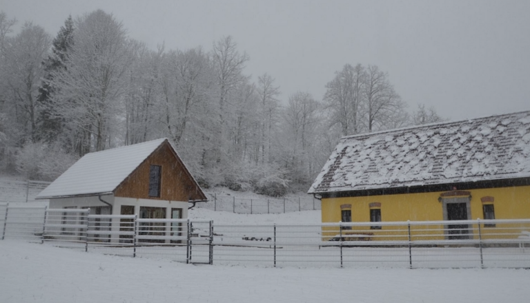 V kočevskih gozdovih odprli novo nastanitev, poglejte, kdo se je tu rodil