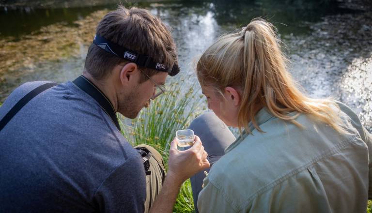 Mokrišča na območju Mure še vedno živijo 