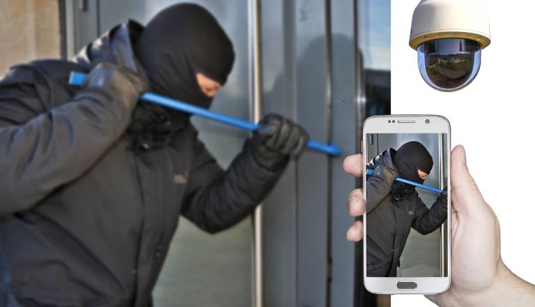 Tatovi na pohodu po Gorenjskem. Tupaliče na udaru kar dvakrat