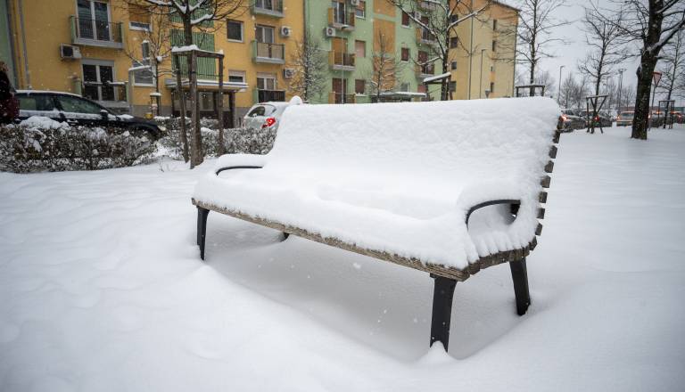 Na Ptuju in v okolici najhladnejši januar v zadnjih osmih letih