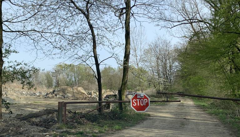 Občina o pilotnem romskem naselju na Goričkem: Projekt ne predvideva nobenih priselitev, odločitve še nismo sprejeli