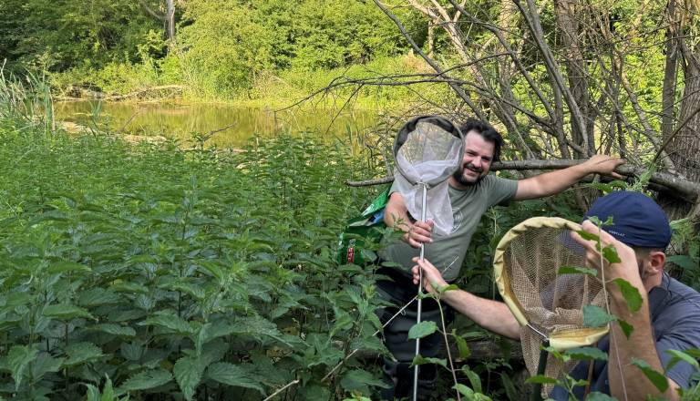 En dan, 70 raziskovalcev, 824 vrst: Presenečenje ob izvirih Radenske