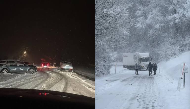 Podrta drevesa in prometne nesreče: Kaos na pomurskih cestah, v Lendavi voznik trčil v policijsko postajo
