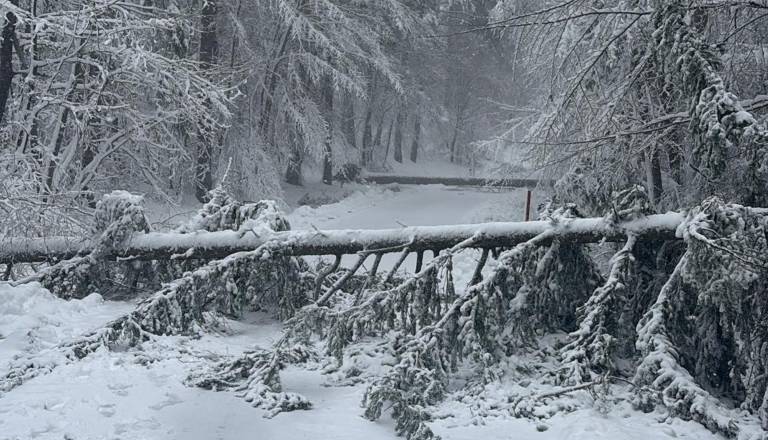 Je sploh mogoče iz Ljutomera do Ormoža? Zaprte ceste, podrta drevesa in ustavljeni vlaki 