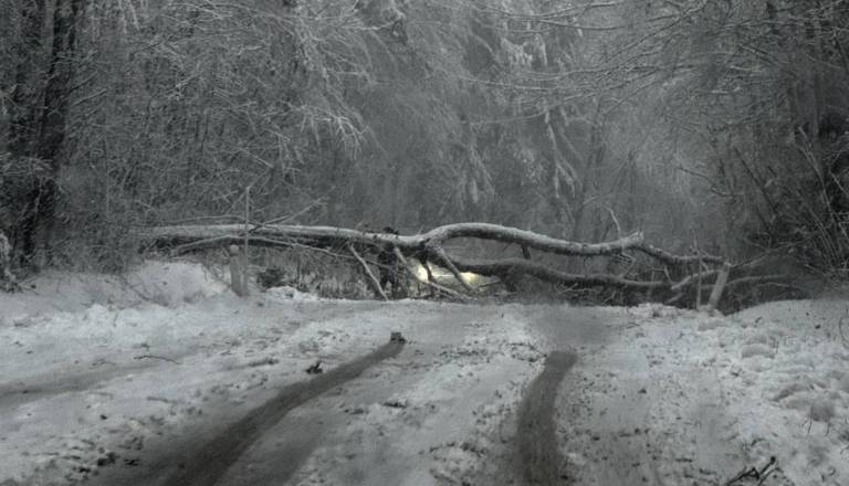 Pol Pomurja še vedno brez elektrike, vseh okvar tekom dneva ne bo mogoče odpraviti