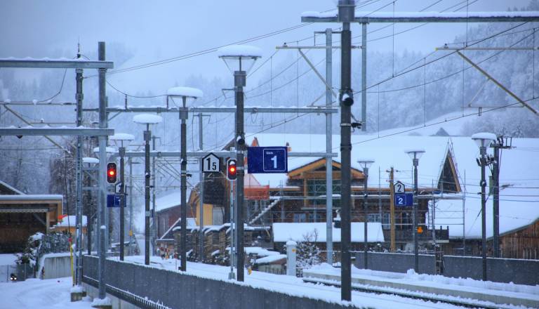 Podrta drevesa ohromila železniški promet na severovzhodu Slovenije