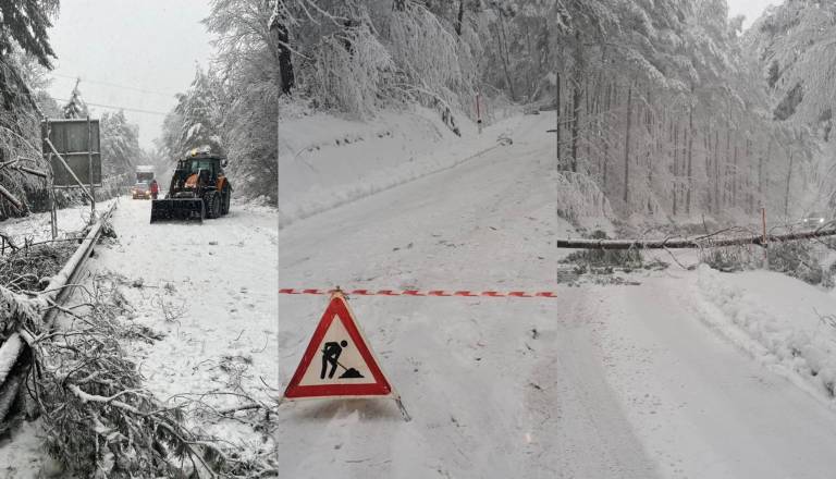 FOTO: Sneženje ohromilo dele Pomurja, cesta med Kuzmo in Sotino popolnoma zaprta