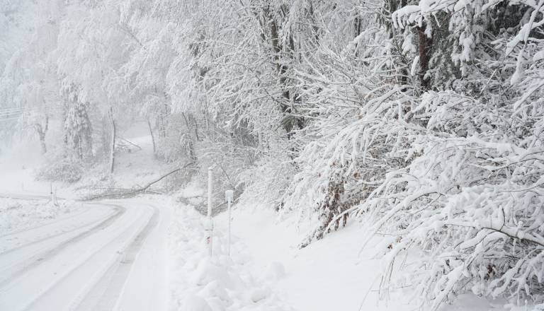 FOTO: Snežna idila na Goričkem
