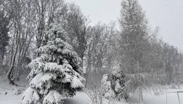 Kako dolgo bo še snežilo? 