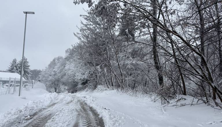 Okrepljen veter spremlja sneženje, sunki presegajo 50 kilometrov na uro