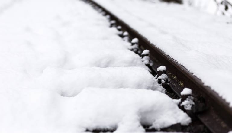 Podrta drevesa ustavila vlake na severovzhodu Slovenije