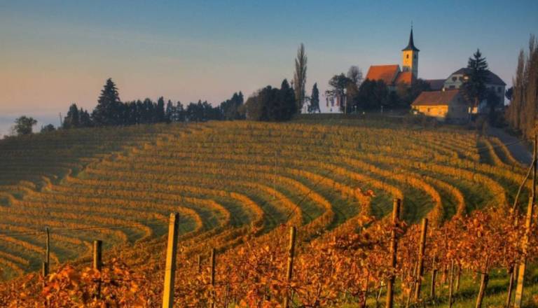 Turistični vodniki obeležujejo svoj dan: Brezplačna vodenja tudi po Pomurju