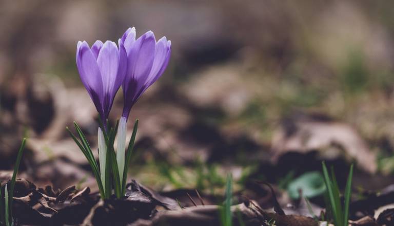 Pozor v gorah: Velika nevarnost plazov, v dolinah pa prihaja pomladna otoplitev
