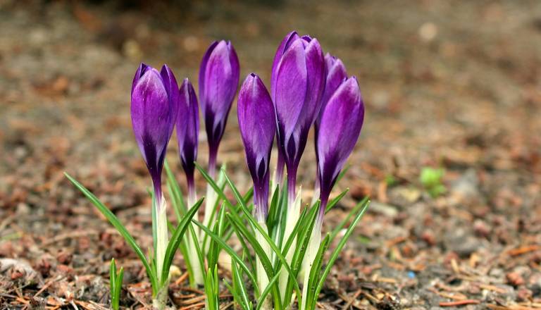 Dolenjsko čaka stabilen in toplejši teden, padavin ni na vidiku
