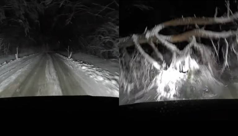 VIDEO: Šlo je za centimetre! Na Goričkem snemal razmere na cestah, na avtomobil skoraj padlo drevo