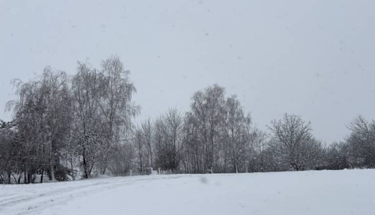 Kakšno vreme nas čaka v prihodnjih dneh?