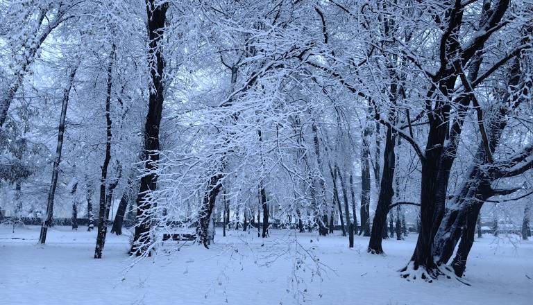 Gibanje na območju Fazanerije življenjsko nevarno