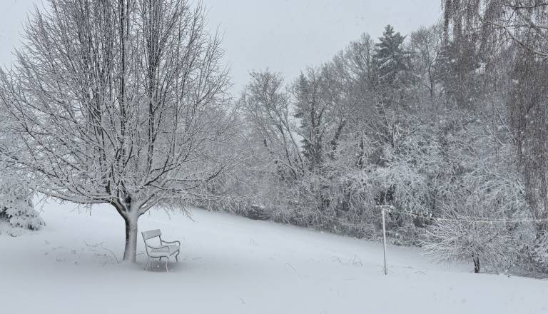Maribor po zasneženem petku: Sneg se bo topil, kakšno vreme nas čaka?
