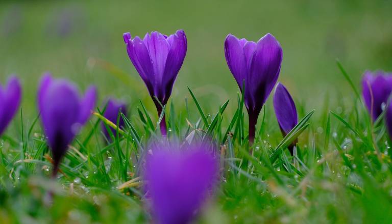 Zima se umika: Ljubljano čaka sončnejši in občutno toplejši teden