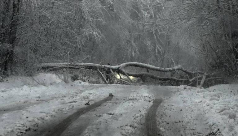 Težak sneg podiral drogove, SI-ALARM pa brez obvestila