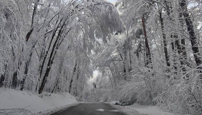 Še tretji dan brez elektrike, skoraj 4000 gospodinjstev čaka na rešitev