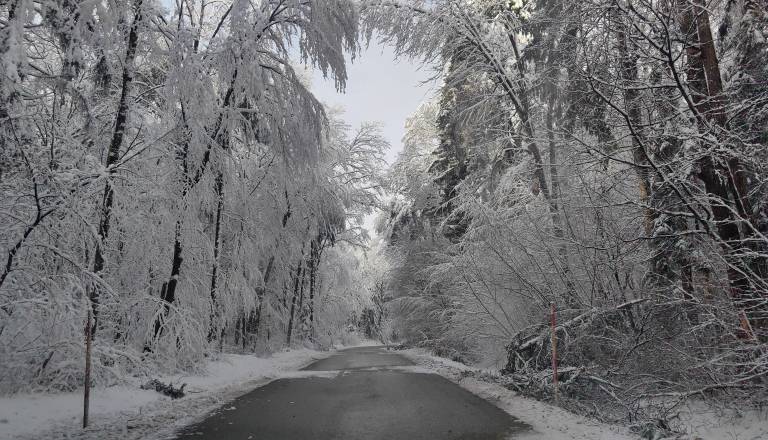 Po obsežnem sneženju napovedana otoplitev, temperature do 15 stopinj