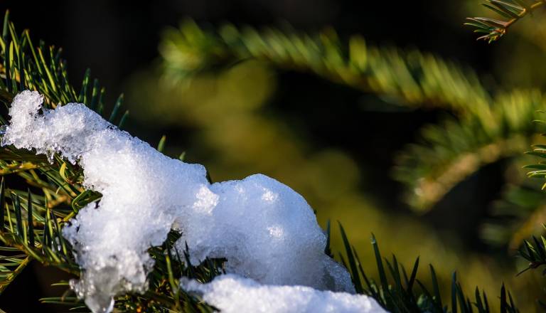 Sneg se poslavlja, temperature vse do 15 stopinj