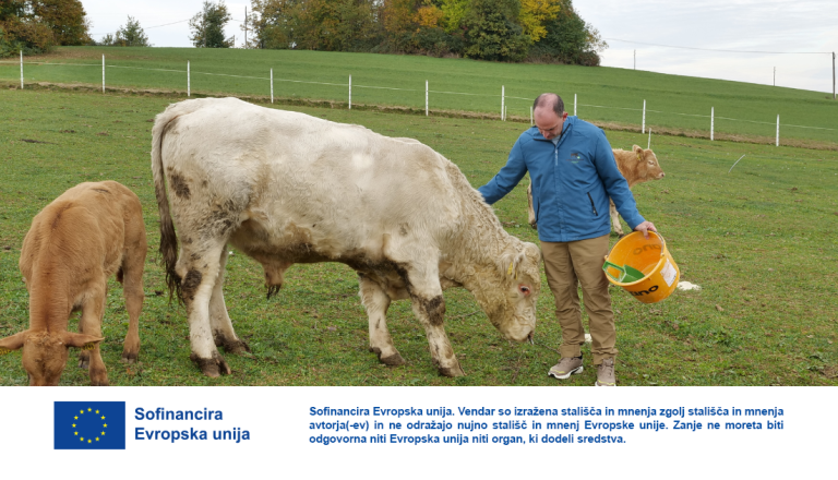 VIDEO: Ko tradicija postane posel: zgodba, ki se piše že več generacij