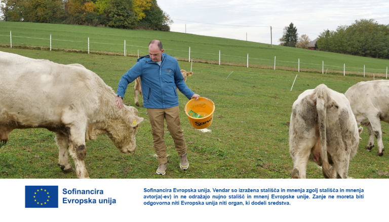 VIDEO: Kmetija Korhausler – ekološka senena govedina iz Križevcev v Prekmurju