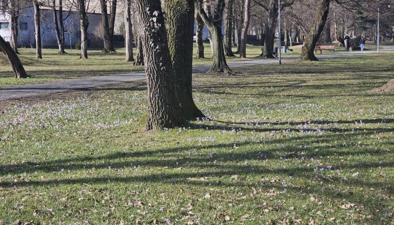 Precej več sonca kot običajno, temperature nadpovprečne 