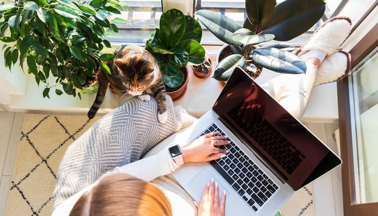 A1 Slovenija v Mariboru širi optično omrežje