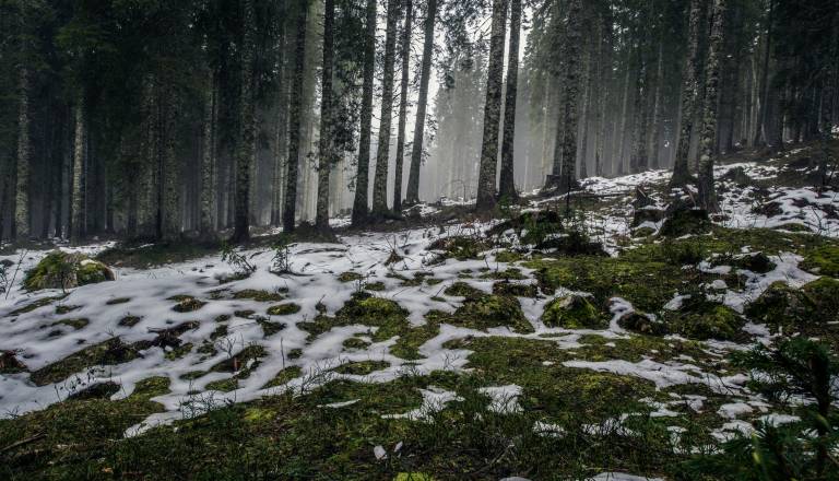 Tako visoko so se temperature povzpele danes, najtopleje bo v osrednji in jugovzhodni Sloveniji