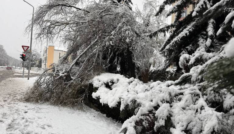 Mariborska občina opozarja: Nevarnost ostaja, ne zadržujte se na teh območjih
