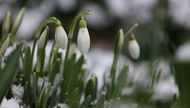 Tako visoko so se temperature povzpele danes, meteorologi napovedujejo nadpovprečno topel zaključek zime
